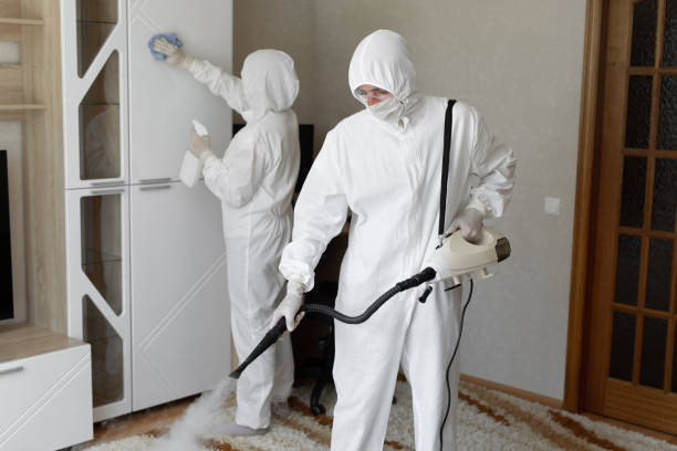 24/7 Emergency Odor Removal experts in Freeland, MI